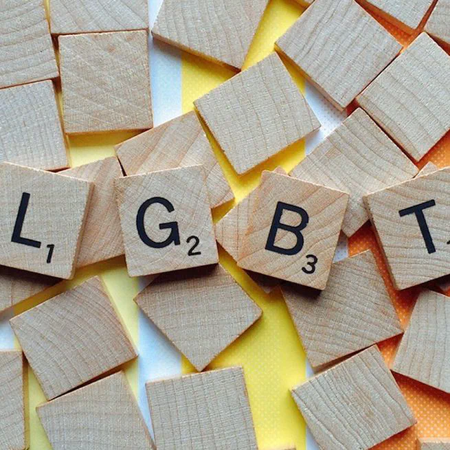 LGBT Survey Analysis