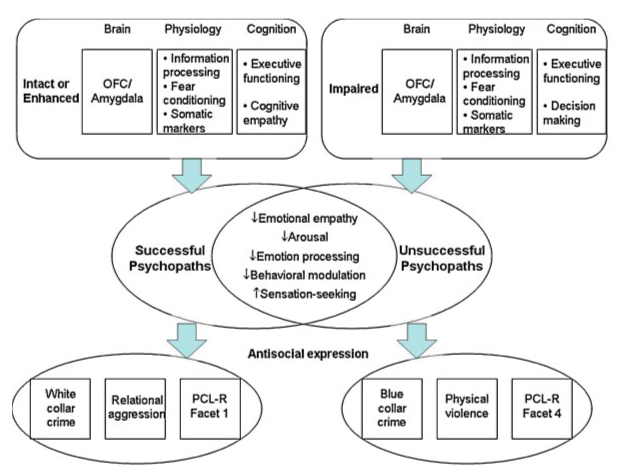 Brain self-regulation in criminal psychopaths