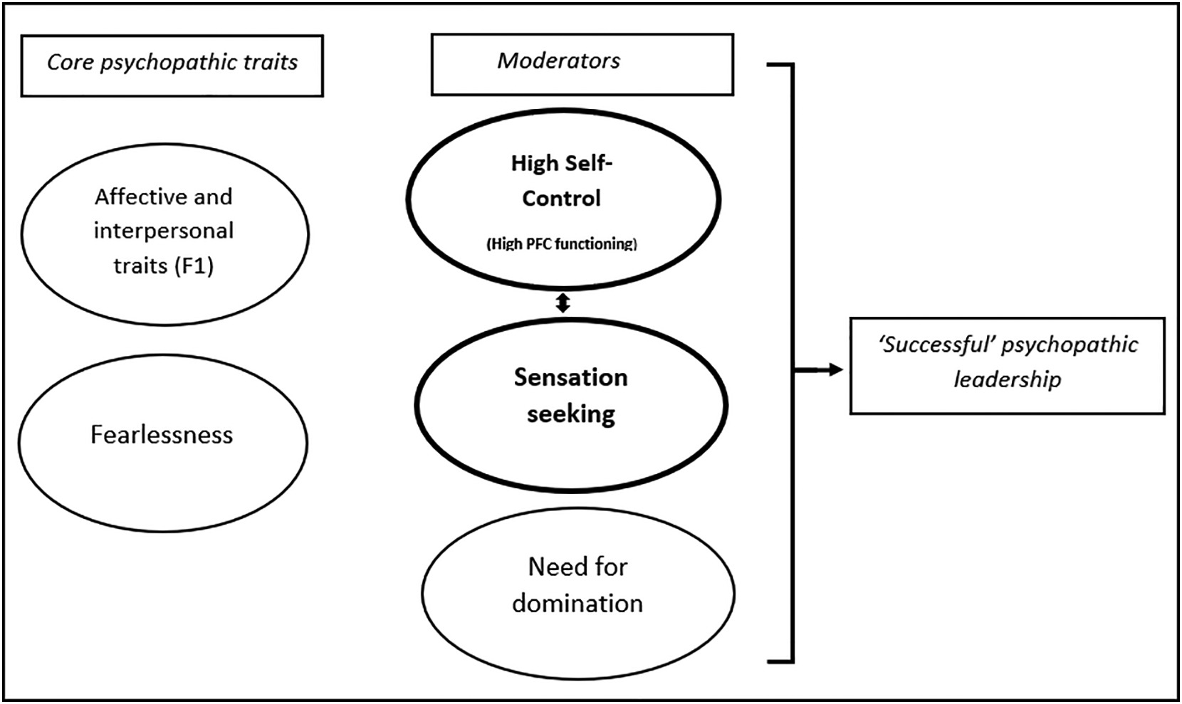 Brain self-regulation in criminal psychopaths